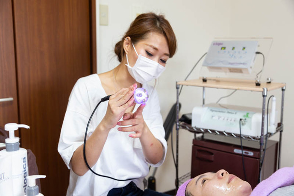 アンズ-19090453