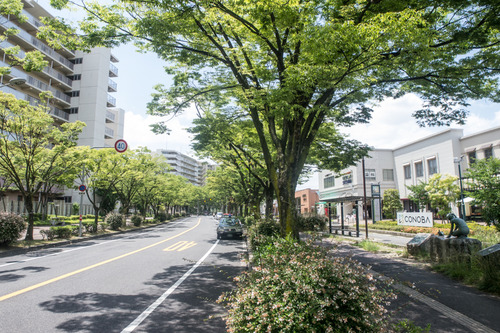 スントゥブ-1407014