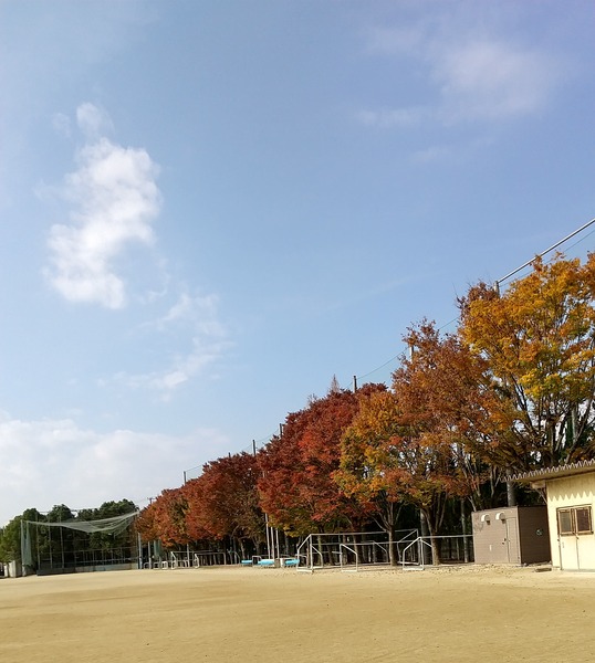 紅葉5