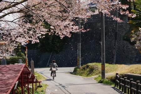 穂谷新池公園130409-04s