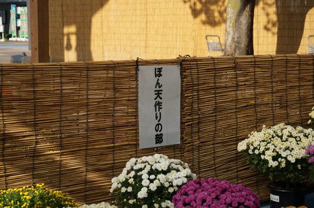 菊花展131105-14