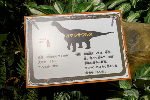 ひらパー恐竜大冒険-42