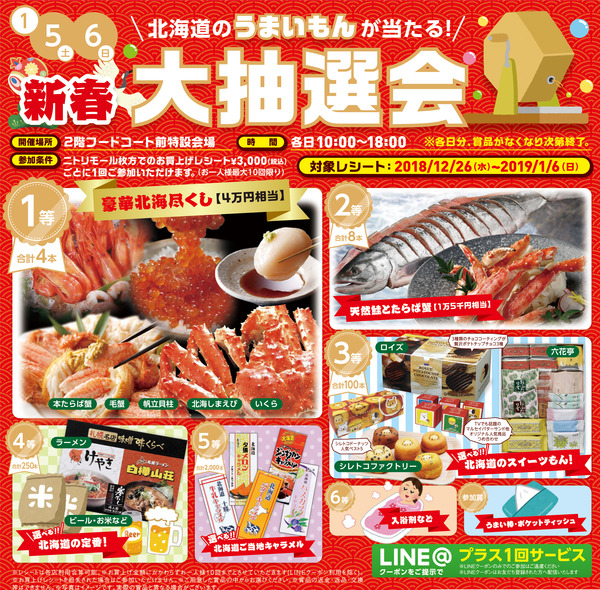 ニトリチラシ2019新春a