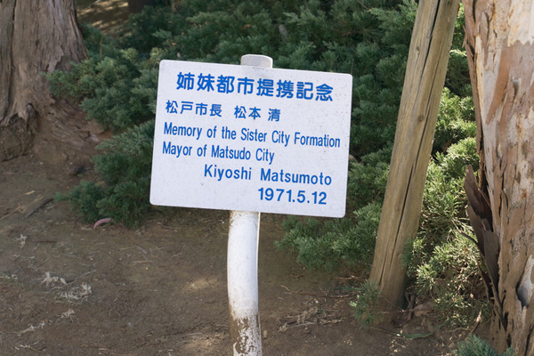 松戸-30