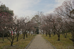 120301DSC05871