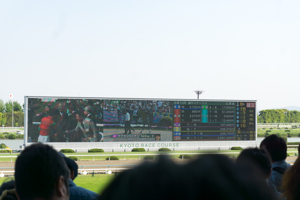 競馬-62