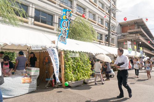 枚方まつり2015-13