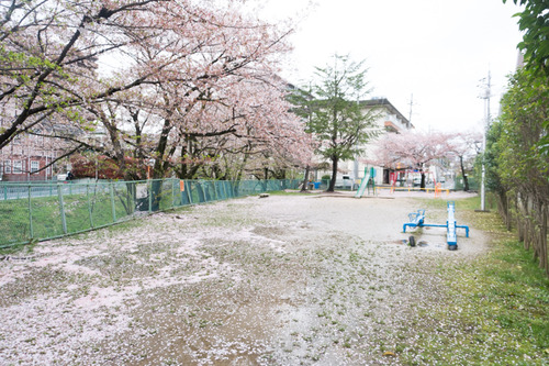 nagao-kouen-24