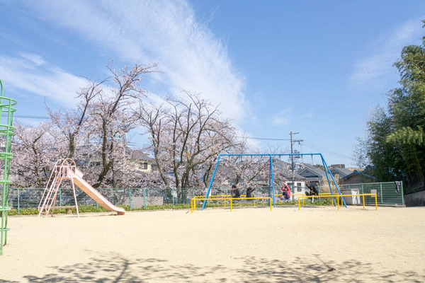 名称未設定-1904051