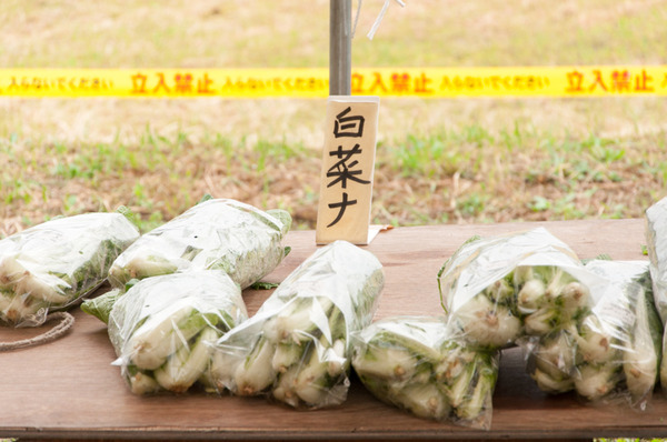 穂谷-127