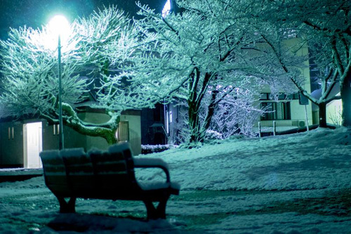 雪の正月