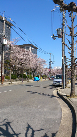藤阪ハイツ