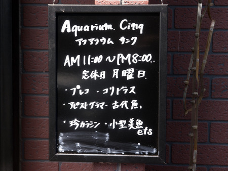 サンク-1403195