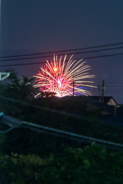 花火-1910065