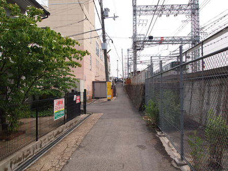 P5298532