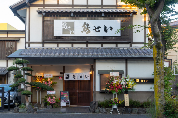 鳥せい-2009156
