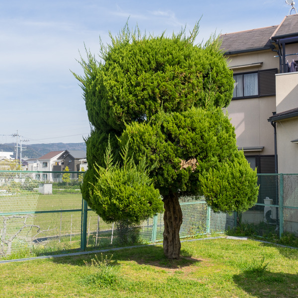 楠葉中町-20040714
