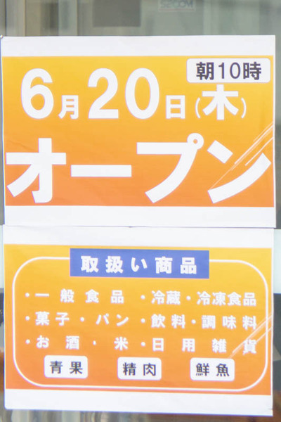 サンディ-1906206