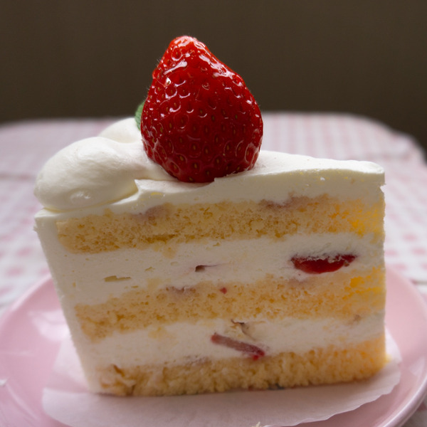 シロモトケーキ-14
