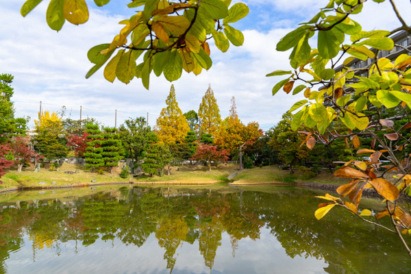 紅葉今日-2011134