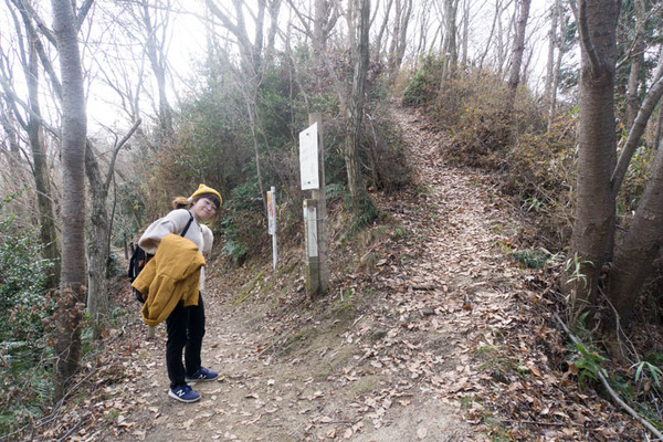 サンドイッチ山-19011630