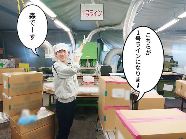 handsplow3