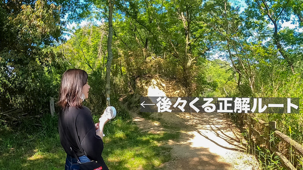 新サンドイッチ山-2006045