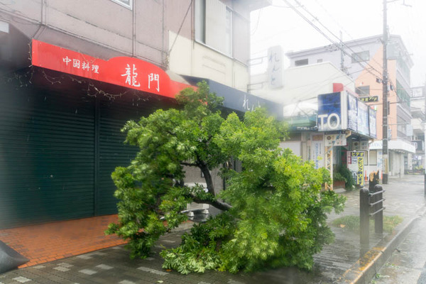 台風21号-18090439