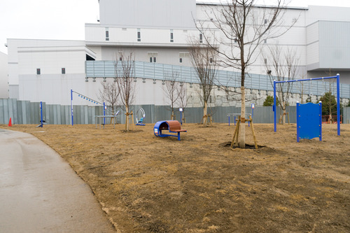 東部公園-15032917