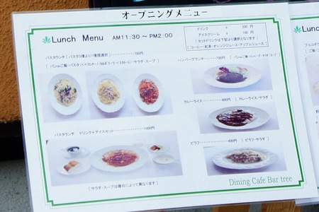 20110707DSC03265b