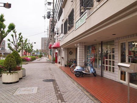 P4301685