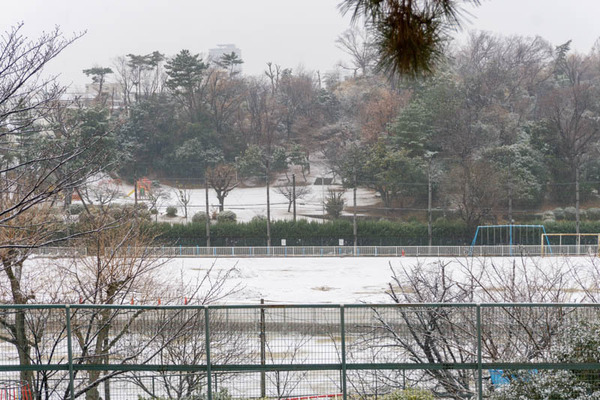 雪2101125