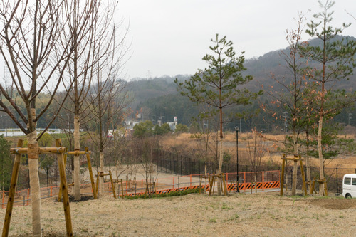 東部公園-15032927