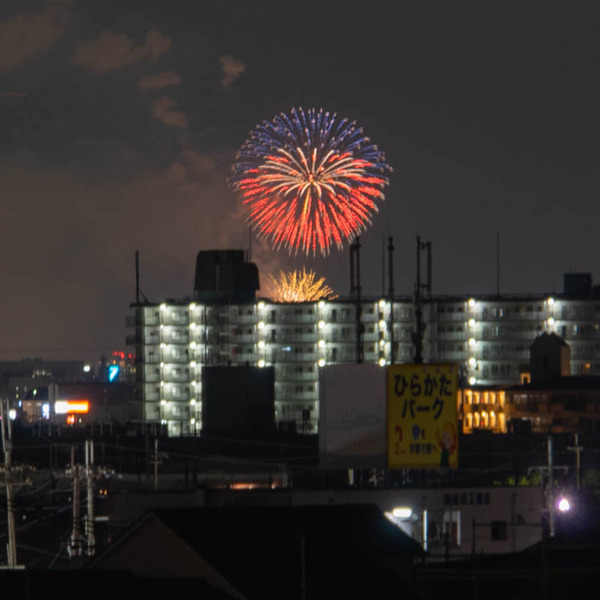 花火-1908105