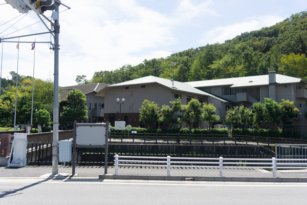 nk_kw_小-257