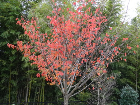 121124_kyouchan59_02
