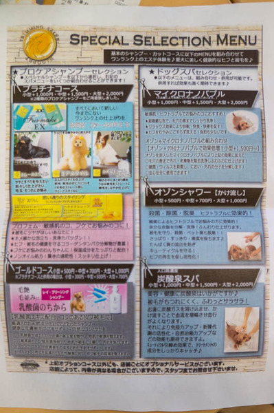 ひご-1803309
