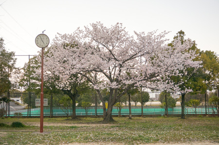 家具団地-4