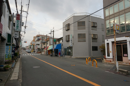 バーニーズマウンテン130129-10