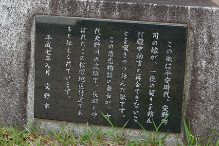 交野の少将130605-04