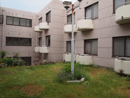 P5298621