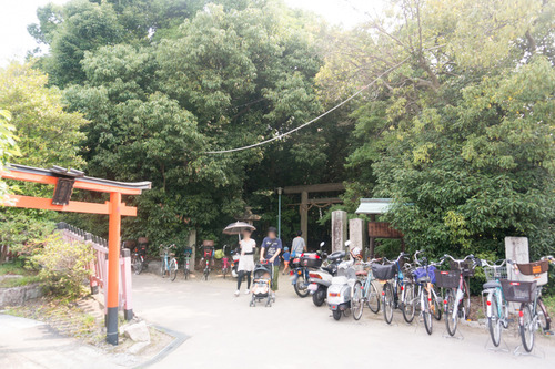 asaiku-1-1