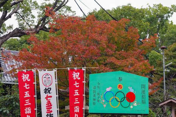 紅葉-2011252