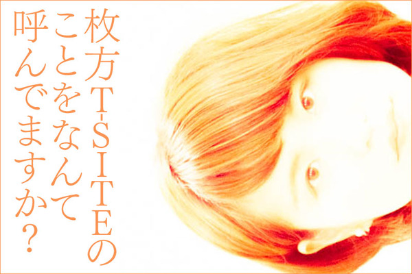 ひらつーしらべ表紙