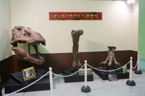 ひらパー恐竜大冒険-29