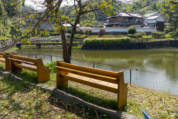 穂谷新池公園-2004077