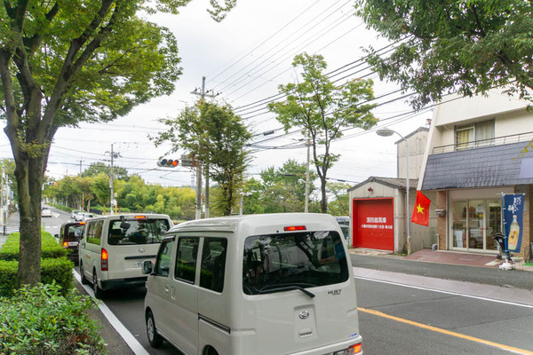 ベトナム-2010051