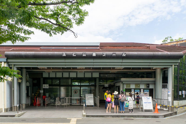 王仁公園プール-1907252