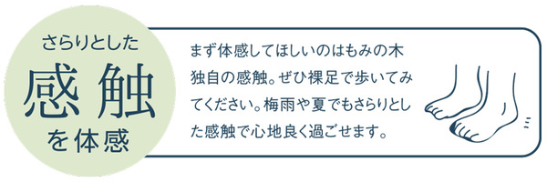 もみの木の感触を体験