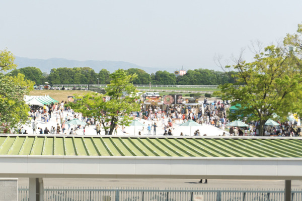 競馬-6